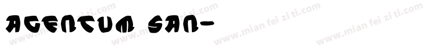 Agentum SAN字体转换
